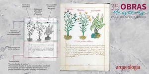 34. Códice Badiano. Tlatelolco, Ciudad de México