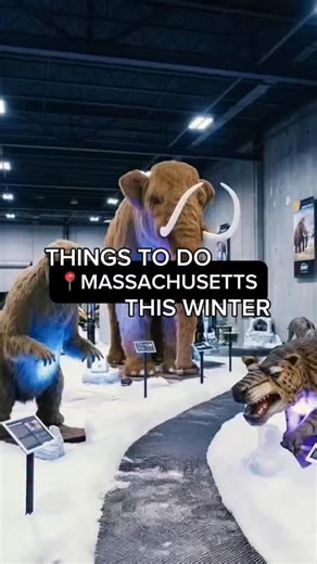 Pin Massachusetts on Instagram: "This interactive dinosaur experience is coming to Massachusetts Springfield this weekend! @jurassicquest #boston #massachusetts #bostontravel #springfield #newengland"