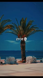 SPRING BREAK KROATIEN 😏 Jetzt deine Reise auf zrce.eu anfragen 🩵 Mai & Juni 2025! | zrce.eu