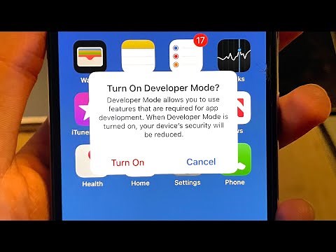 How To Turn ON Developer Mode on iPhone or iPad! [Developer Options]