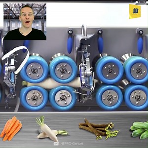 Inside Peeling & Slicing Machinery Factory | Mechanical Mind