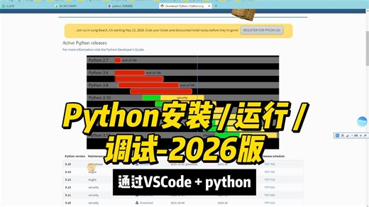 Python的运行调试：通过VSCode python