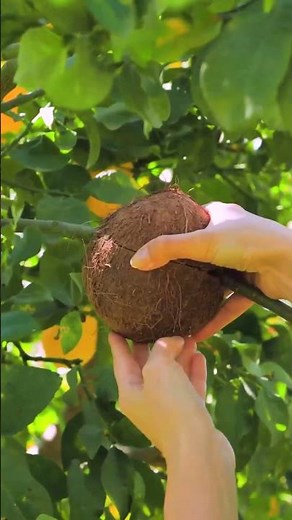 Revive Your Trees: Healing Secrets for Broken Branches 🌳✨