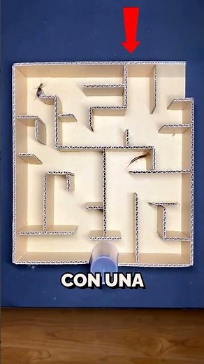 This man measured the intelligence of two insects 😱🐛 #shorts #funfacts