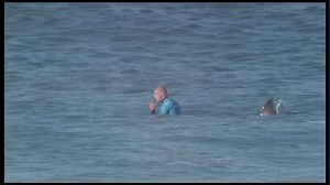 155K views · 707 reactions | IN SLOW MOTION - The heaviest and most frightening moment in televised sports history. Mick Fanning fends off an attack from a great white shark during the final of the WSL Jeffreys Bay event yesterday. Lucky to be alive. | Liquify Magazine | Facebook