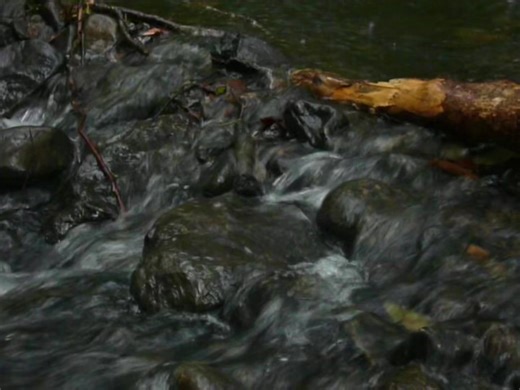 Nostalgic Review of the Early 2000s Digital Camera