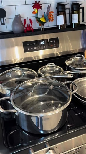 Snowclad Cookware Review: Nonstick and PFOA Free