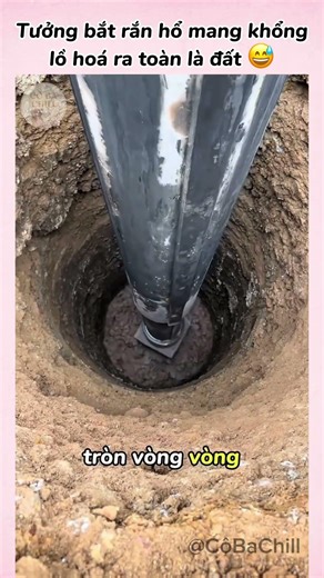 Tưởng Bắt Rắn Hổ Mang Hoá Ra Toàn Là Đất 😅 #shorts #funny