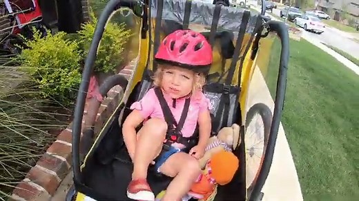 Allen Sports Bike Trailer Review