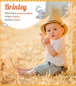 Brinley Name Meaning And History: A Comprehensive Guide