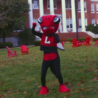 Dell the Hornet mascot 🐝 Did you know our mascot, the Hornet, has been a symbol of our campus since 1919? Named "Elsie" in 1997, a new and official design was adopted in 1999 with the input of our faculty, staff, and students. In 2017, the mascot was reimagined and named Dell the Hornet after a campus community naming contest. | University of Lynchburg