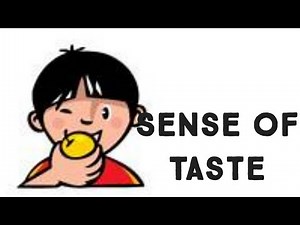 Learn about my five senses (Sense of Taste)