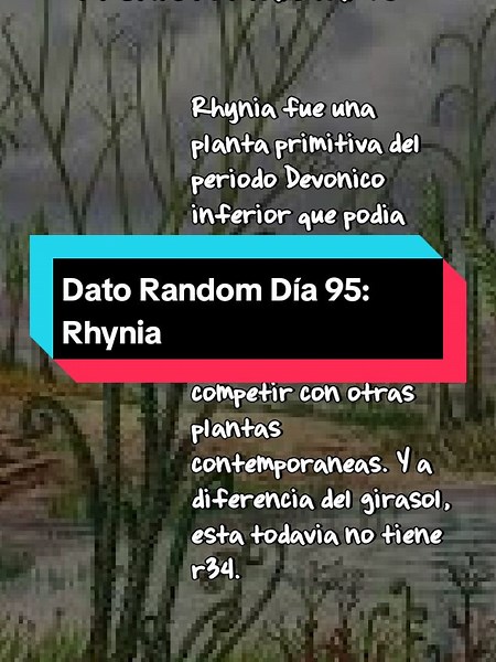 Dato Random de la Prehistoria: Rhynia y su Adaptabilidad
