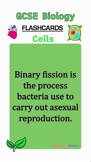 Cell biology revision flashcards GCSE #education #revision #combinedscience
