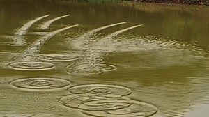 29K views · 208 reactions | It's time to show real technology Five stones come together, | Media 5 | Facebook