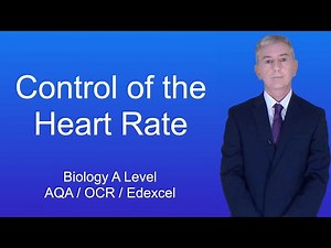 A Level Biology Revision (Year 13) "Control of the Heart Rate"