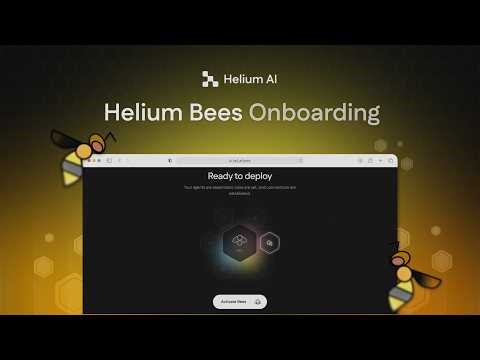 How to Set Up Helium Bees | Complete Walkthrough
