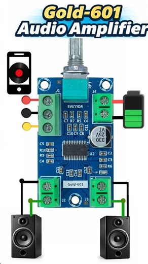Gold-601 Amplifier Connection