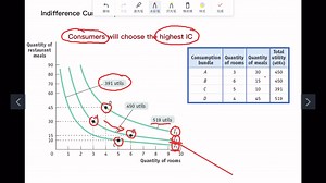 A2 Economics indifference curve and budget line