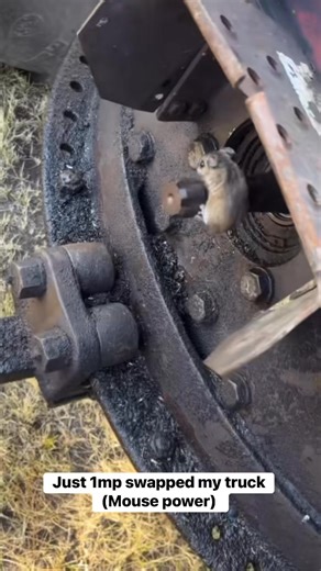 5.1M views · 117K reactions | #fbLifestyle #mechanic #automotive | AutoPanda | Facebook