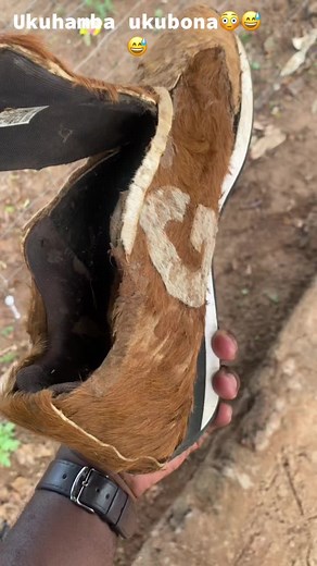 Exploring Maskandi Music and New Albums in 2024