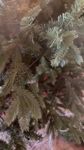 A free quick tip on fluffing a Artificial Christmas Tree with different types of Greens. And make room smell good. Use a hand Dteamer and add fragrance in the water. The steam pops the limbs right in place | Jeffrey Cuevas