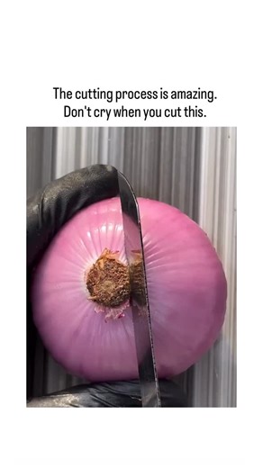 NON FUNNY 😁 on Instagram: "- The post features a 12-second video of a gloved hand methodically slicing a large red onion into petal-like sections, revealing its geometric internal layers in a satisfying ASMR-style demonstration. - Caption “The cutting process is amazing. Don’t cry when you cut this” humorously nods to the syn-propanethial-S-oxide gas in onions that irritates eyes, implying this variety or technique avoids tears, as confirmed by the tear-free footage. - Posted November 29, 2025,