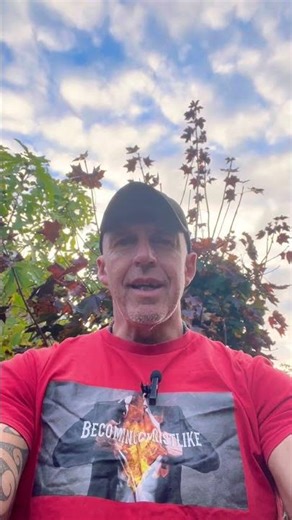 Alpha males are Emotionally intelligent and available.