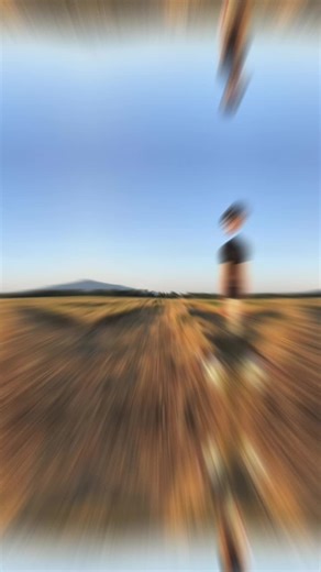 Frank Chen🌹 (@chen013x)’s videos with original sound - Frank Chen🌹