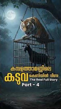 ഒരു നാടിനെ വിറപ്പിച്ച കടുവ കെണിയിൽ വീണു 🐅 Real Full Story | Part 4 | Kumpalathamon | Tiger