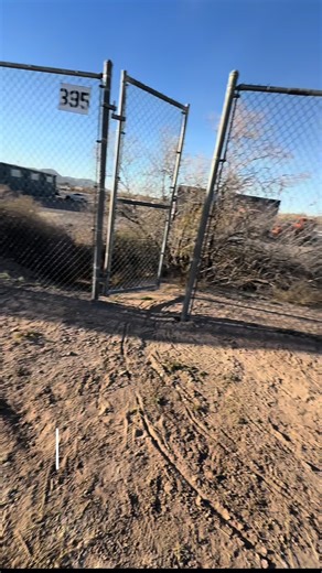 Effective Boxer Workout: Join Me!