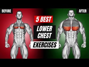 LOWER CHEST WORKOUT: Top 5 Exercises to SCULPT & BUILD Your Chest!