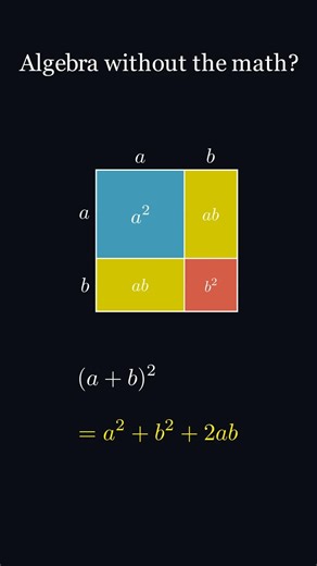 They Never Taught (a+b)² Like This 🤯#Shorts #Math #Algebra #Education #Manim #STEM #VisualLearning