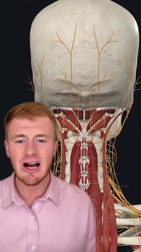 Dr. Rusty Lavender| Vertigo on TikTok