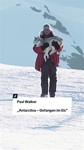Antarctica – Gefangen im Eis wahre Geschichte von Taro und Jiro