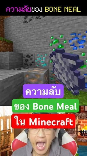 🤫Minecraft Bone meal secrets you might not know!?