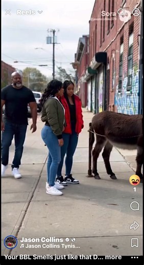 Your BBL Smells just like that Donkey AZZ