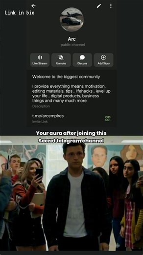 Everything you need|Check bio