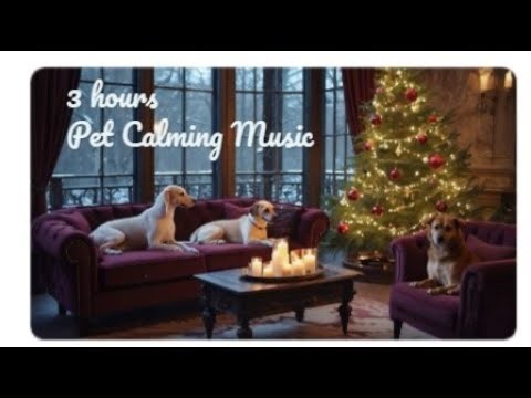 3 Hours Pets Home Alone Soothing Music