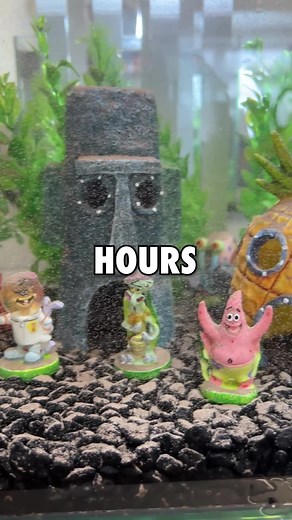 53K views · 442 reactions | Feeding My Sea Monkeys | Jake Sweet | Facebook