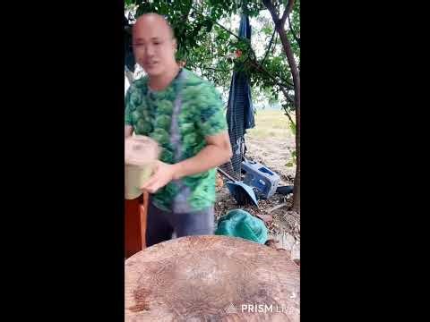 🔴 how to cut watermelon by funny man 🔴 🔴