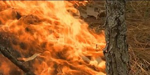 NC Forest Service issues burn ban for all North Carolina counties