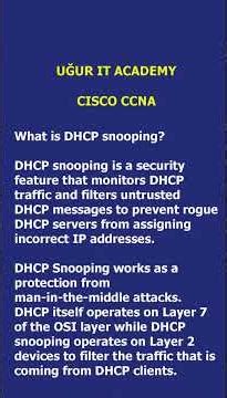 What is DHCP snooping? DHCP snooping nədir?