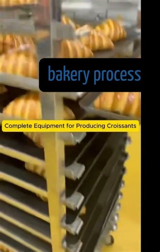 Automatic #Croissant Production Machine Line From China Factory #dough #factory