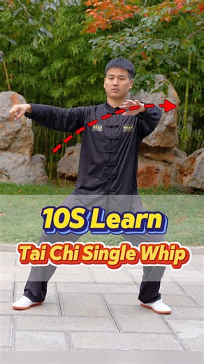 taichi beginner movement tutorial, single whip ✅️buy the Tai Chi online course on 【wonderorient.com】(link in bio). ✅️start your Tai Chi journey now. 太极拳初学者动作教学，单鞭 #taichi #taichiforbeginnger #learntaichi #taichiexercises #taichihealth #kungfu #qigong