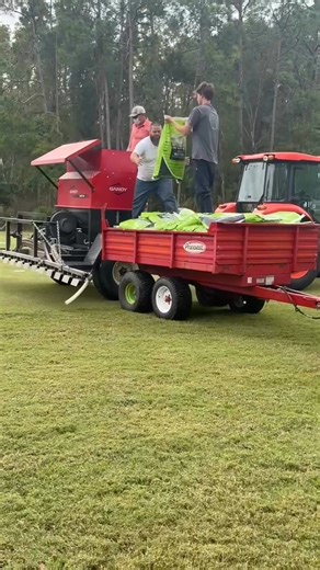 1.7K views · 59 reactions | Lakes, Forest, and the Practice Range have all received their seasonal overseed to ensure greener, healthier turf through fall and winter. Germination has already begun, and those early days are the most important. To protect the new growth, the Practice Range will be mats-only this weekend. Thank you for helping us set the stage for great conditions all season. | The Eagles Golf Club | Facebook