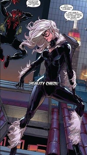 Spider Man Punches Black Cat In The Face...