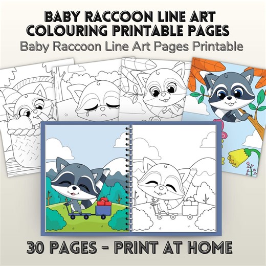 Baby Raccoon Coloring Pages Printable, Cute Animal Coloring Book for Kids, Preschool Homeschool Classroom Activity PDF , Kids Coloring Pages