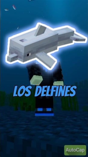 Curiosidades sobre el delfín de Minecraft🐬#minecraft#shortviral#jendrygamer