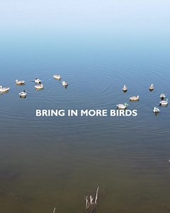 1.5M views · 1.1K reactions | Click to see the spreader system real hunters swear by. | Motion Ducks | Facebook